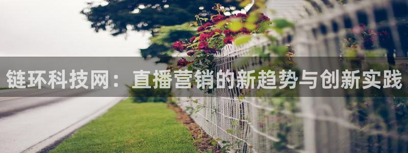 金年会网站多少