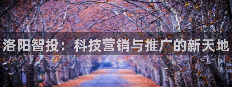金年会体育app最新