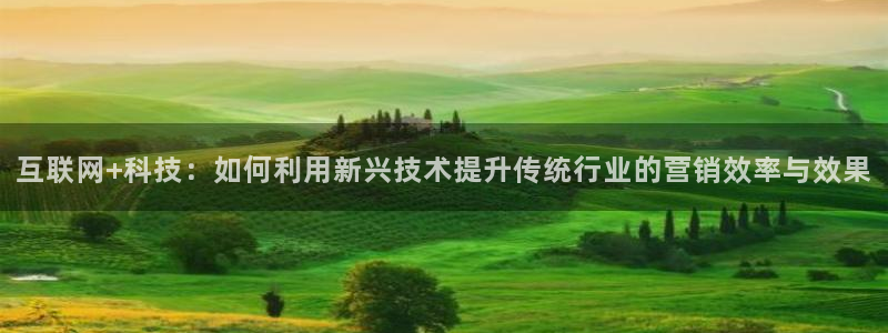 金年会体育手机app下载官网最新版