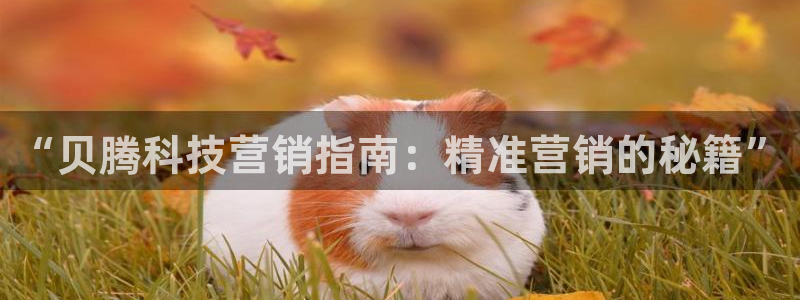 金年会在线入口登陆