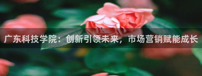 金年会信誉第一