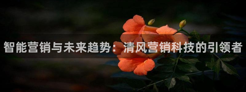 金年会体育好不好