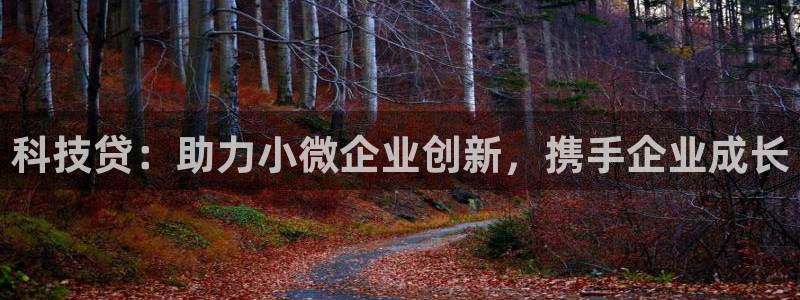 金年会官方网站入口登录网址