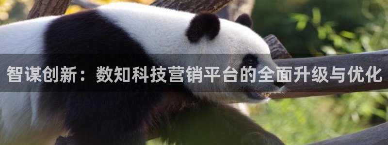 金年会官方网址登录入口