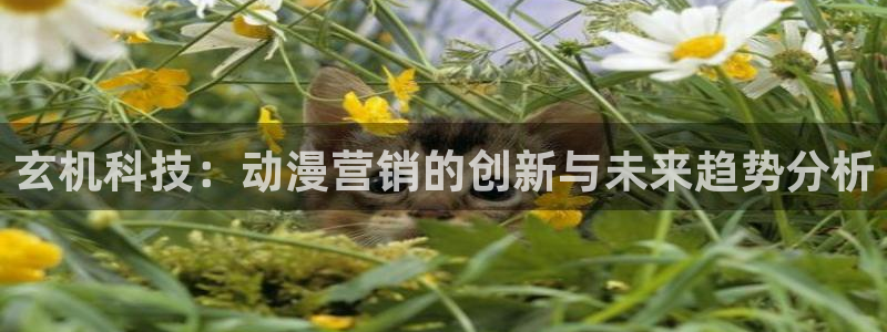 金年会体育电脑客户端登录