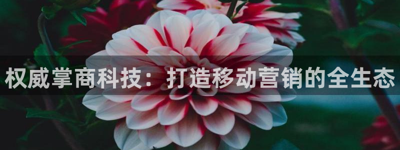 金年会是什么平台会不会提不了现