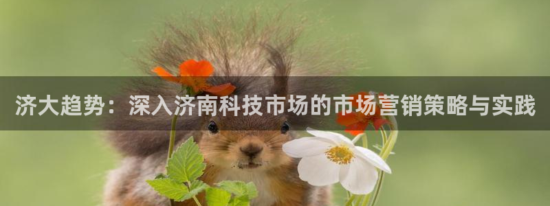 金年会平台是黑网