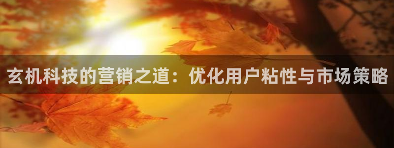 金年会网站事件后果