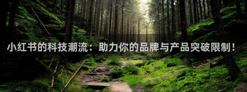 金年会体育信誉怎么样