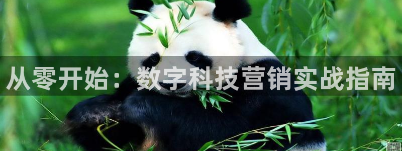 金年会体育手机app下载官网最新版