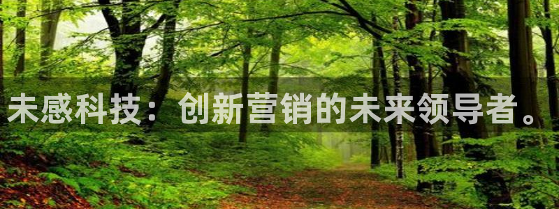 金年会体育app平台怎么样可靠吗