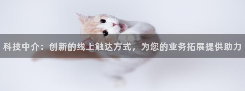 金年会官方娱乐app下载安卓