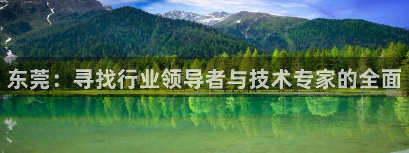 金年会网站洗黑钱