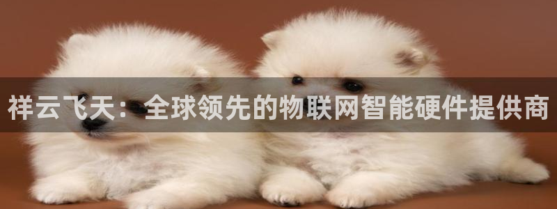 金年会官方网站登录网址是什么