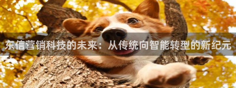 金年会在线入口登录