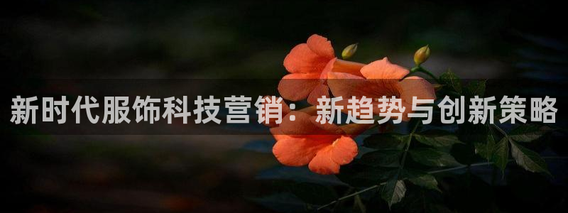 金年会体育网页版