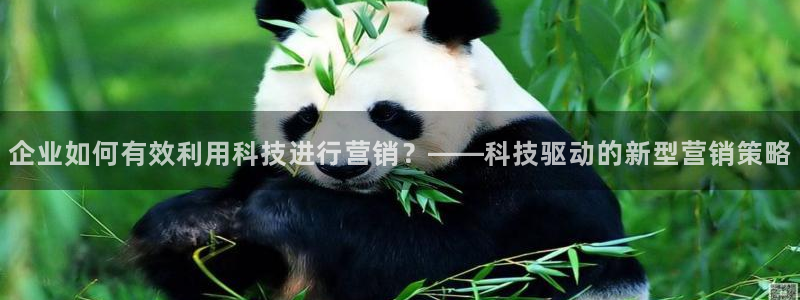 金年会app登录官网入口