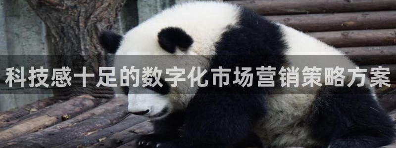 金年会信誉至上是什么意思