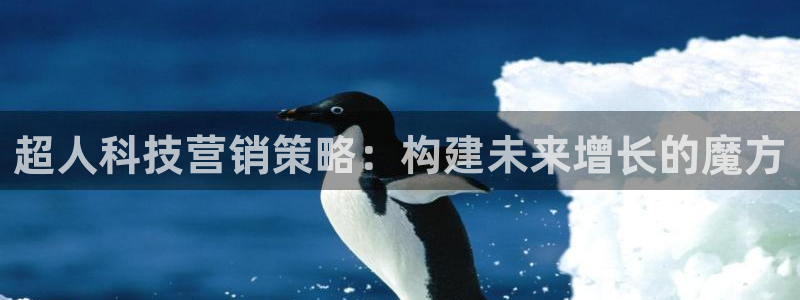 金年会诚信至上