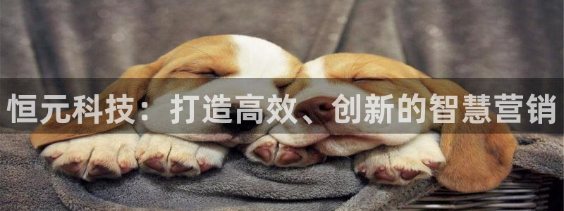 金年会体育平台官网下载app