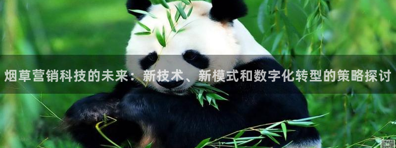 金年会官方网址查询