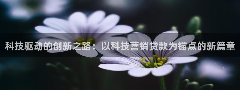 金年会官方入口登录：